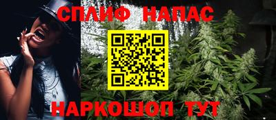 гидра Рязань