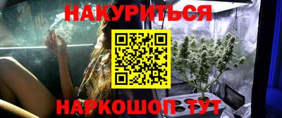 гидра Рязань