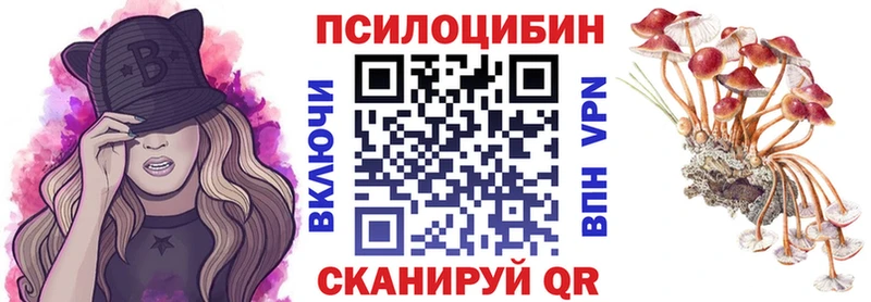 Галлюциногенные грибы Psilocybine cubensis  дарнет шоп  Серов 